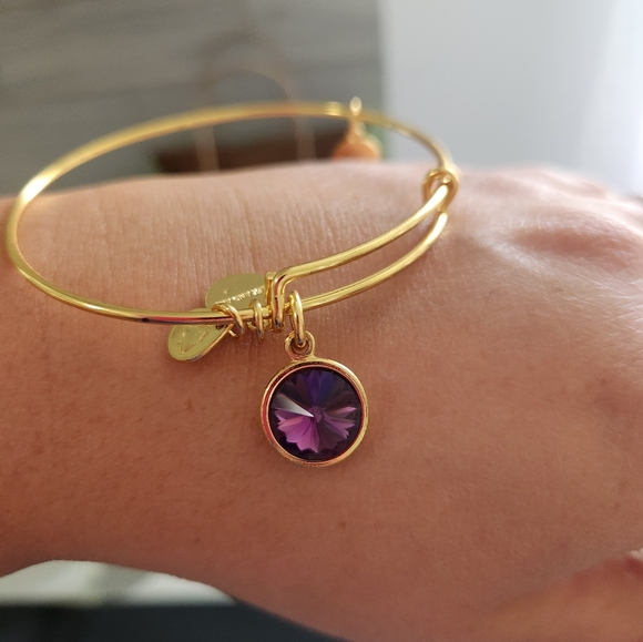 Alex and Ani Expandable Coppure Bangle Purple Stone Charm set of 2 - Picture 7 of 8